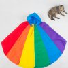 Rainbow Poncho Blue With Cat